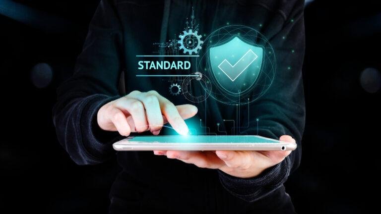 penetration testing service provider